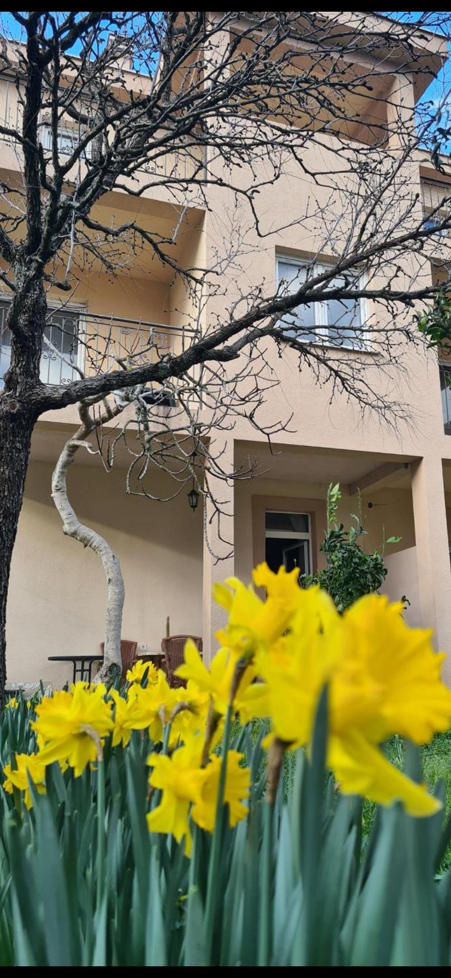 شقة تيفات  في Casa M المظهر الخارجي الصورة